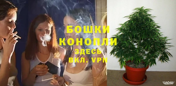 дживик Киренск